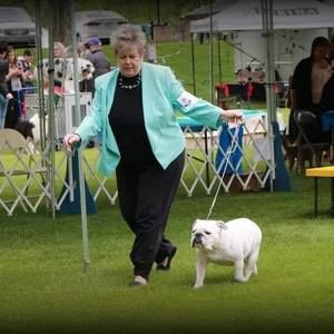 Meet your Posher, Kay